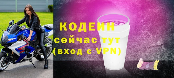 гидра Арсеньев