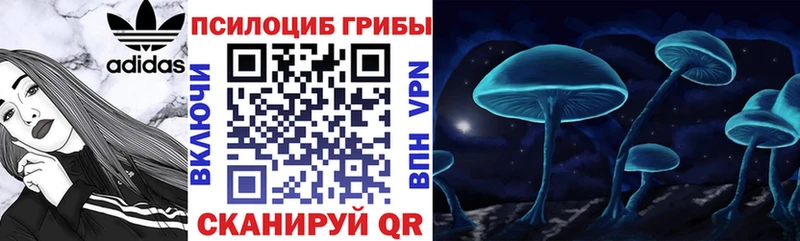 Купить закладки  Курск  Галлюциногенные грибы MAGIC MUSHROOMS 